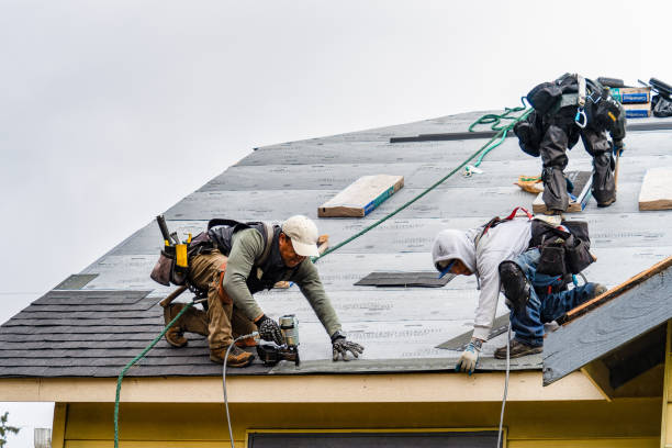 Professional Roofing technician working in Harrisburg, OR